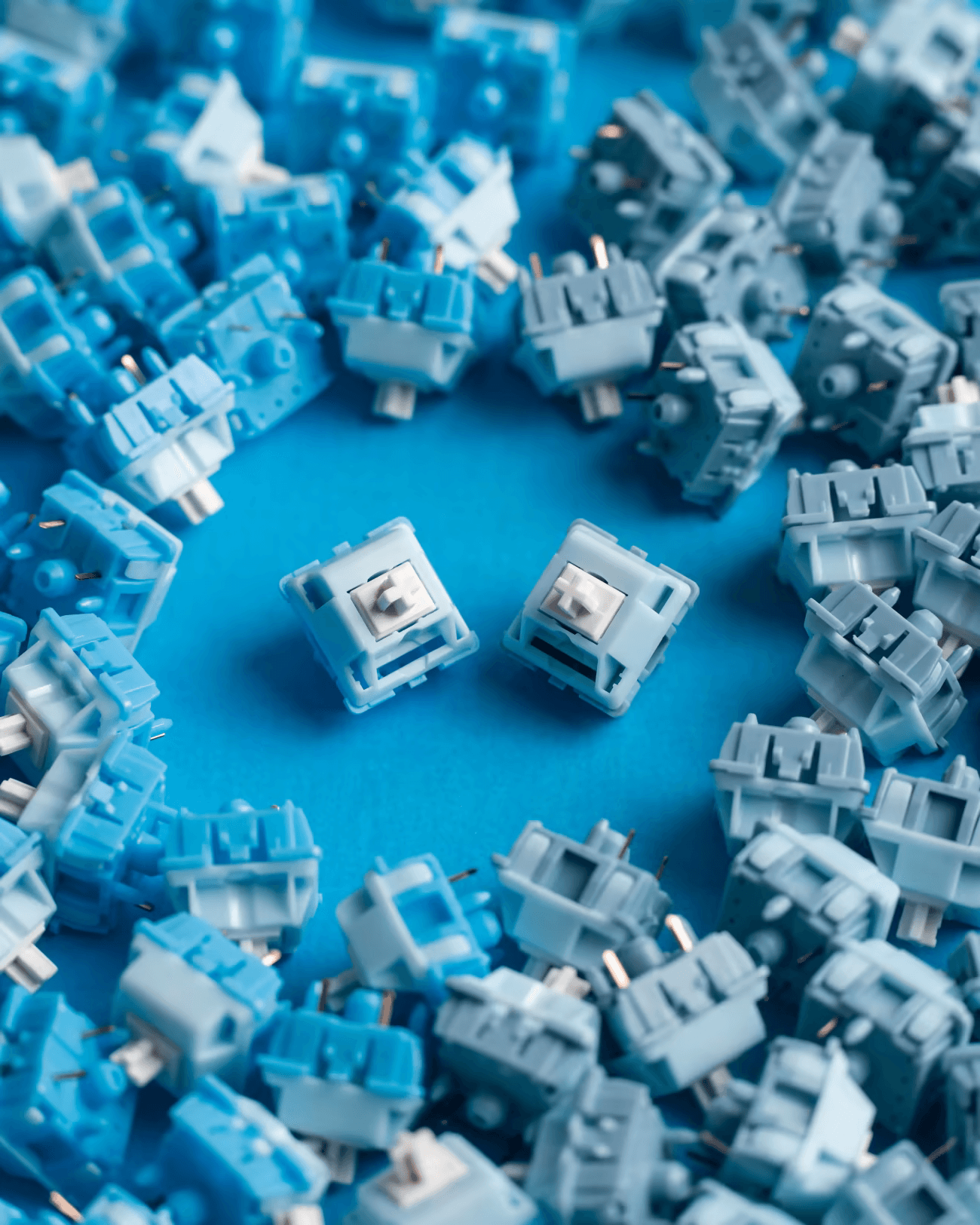 Penguin Tactile Switches - TurtleKeebs